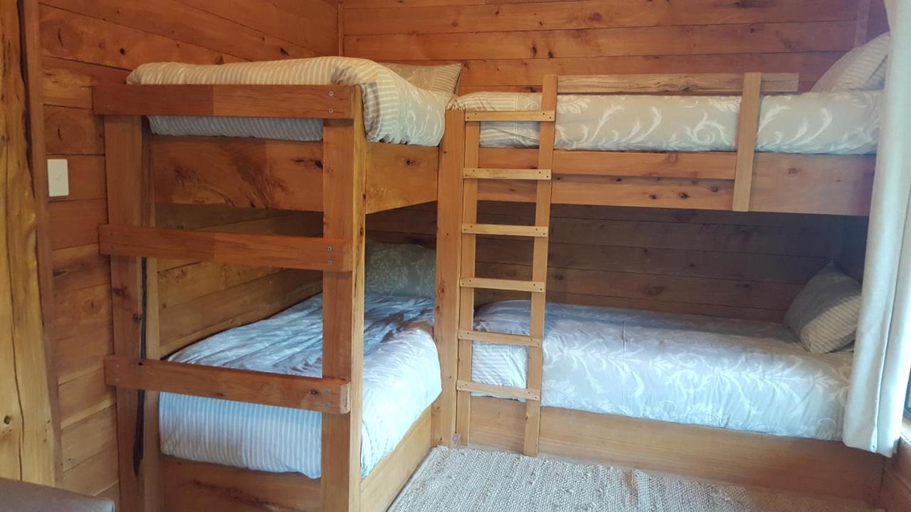 Rustic Hut Bush Retreat Bed and Breakfast Penguin Kamer foto